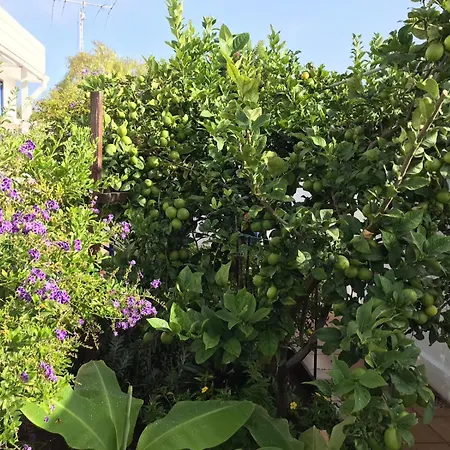 Oceanfront In Private - Next To The 푸에르토 데 산티아고